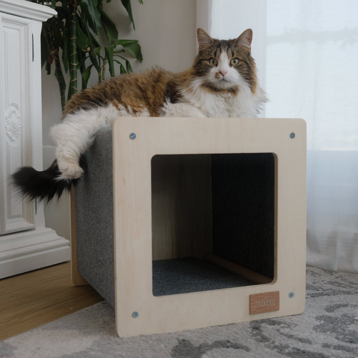 The Urban Hut Pet House