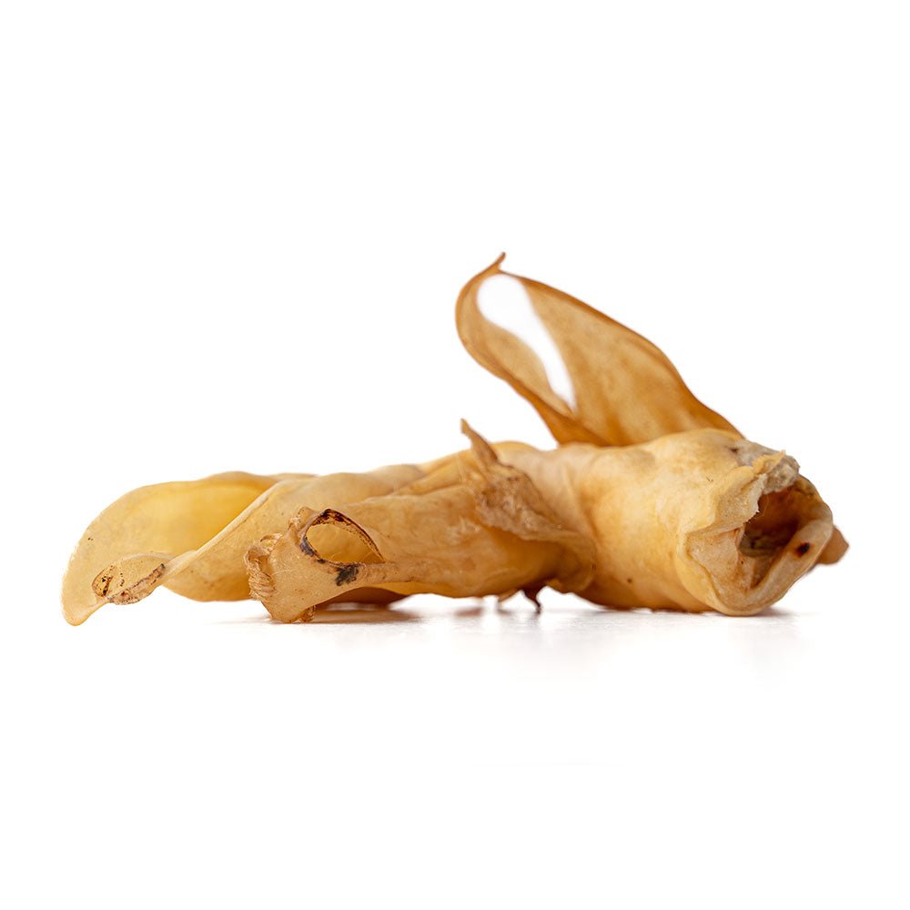Lamb Ear